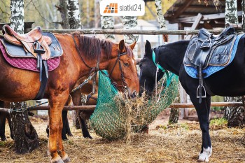Brwinów Worek na siano — praktyczny i wytrzymały pasznik dla koni Sklep Brwinów
